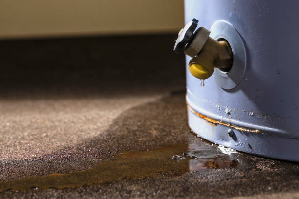 Best Residential water damage restoration  in Delta, OH