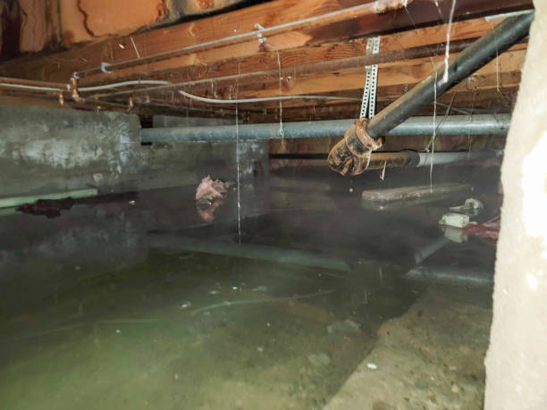 Best 24-hour water damage restoration  in Delta, OH