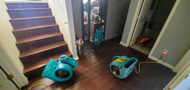 Best Flooded house restoration  in Delta, OH