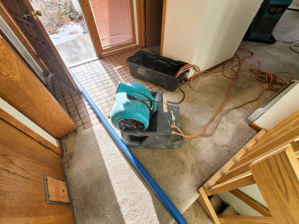 Best Basement water damage restoration  in Delta, OH