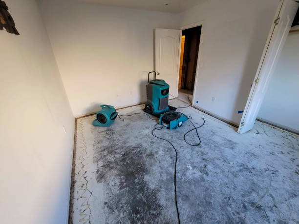 Best Professional water damage repair  in Delta, OH