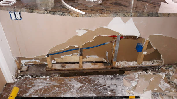 Best Flooded house restoration  in Delta, OH
