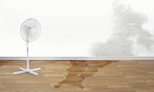 Best Fire Damage Restoration  in Delta, OH