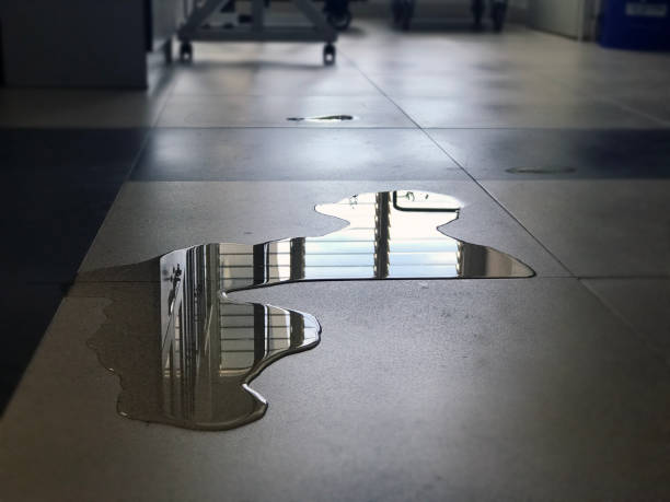 Best Local water damage restoration  in Delta, OH