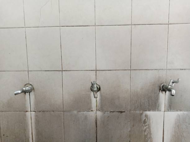 Best Water damage cleanup near me  in Delta, OH