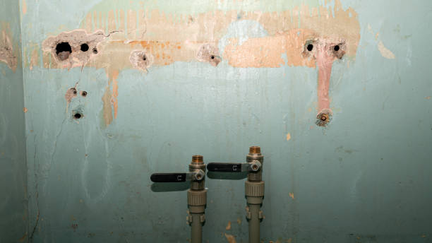 Best Water damage cleanup near me  in Delta, OH