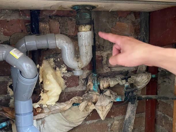 Best Water damage mitigation services  in Delta, OH