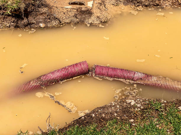 Best Carpet water damage restoration  in Delta, OH